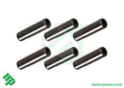 kit perni variatore can-am 417223257 ()